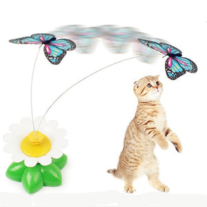 ELECTRIC SPIN ME AROUND CAT TOY