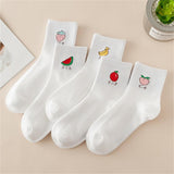 Summer Fruit Socks