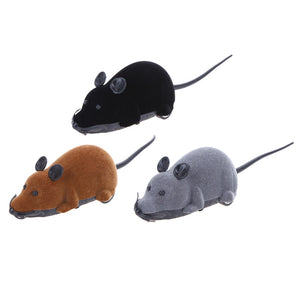 REMOTE CONTROL MOUSE TOY FOR CATS (AND HUMANS)