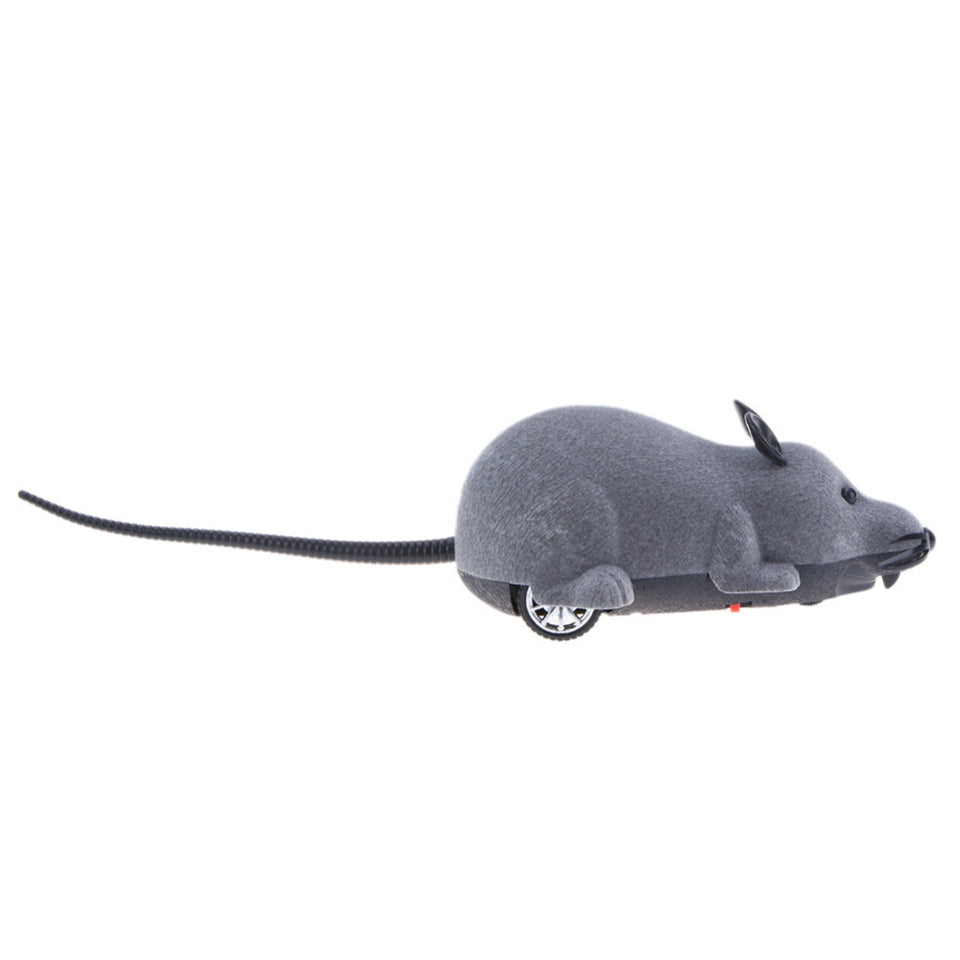 REMOTE CONTROL MOUSE TOY FOR CATS (AND HUMANS)