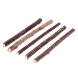 25PCS NATURAL MATATABI CAT TEETH STICKS