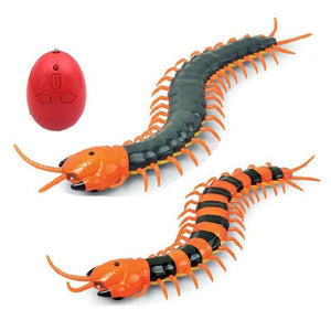 REMOTE CONTROL CAT INSECT TOY