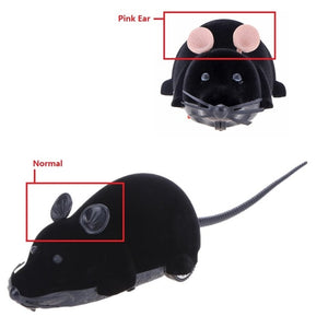 REMOTE CONTROL MOUSE TOY FOR CATS (AND HUMANS)