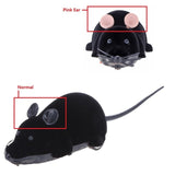 REMOTE CONTROL MOUSE TOY FOR CATS (AND HUMANS)