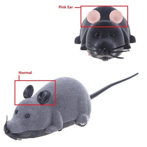 REMOTE CONTROL MOUSE TOY FOR CATS (AND HUMANS)