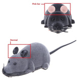 REMOTE CONTROL MOUSE TOY FOR CATS (AND HUMANS)