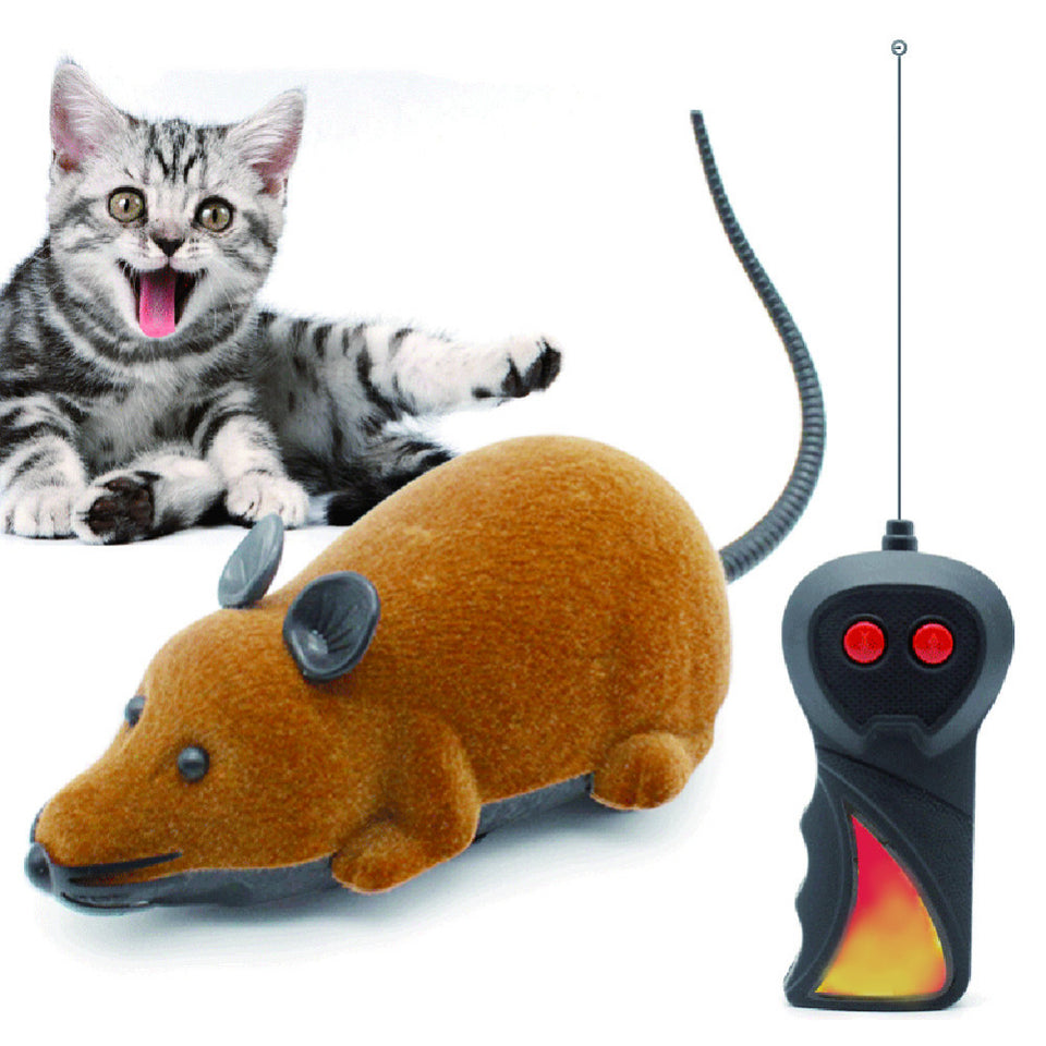 REMOTE CONTROL MOUSE TOY FOR CATS (AND HUMANS)