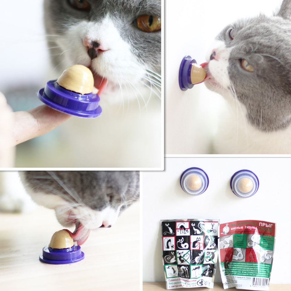 GEL ENERGY BALL FOR CATS