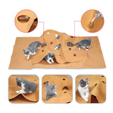 DURABLE FUN CAT HIDING HOUSE