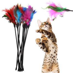 5PCS CAT FEATHER TOYS