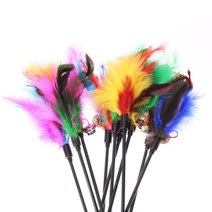 5PCS CAT FEATHER TOYS