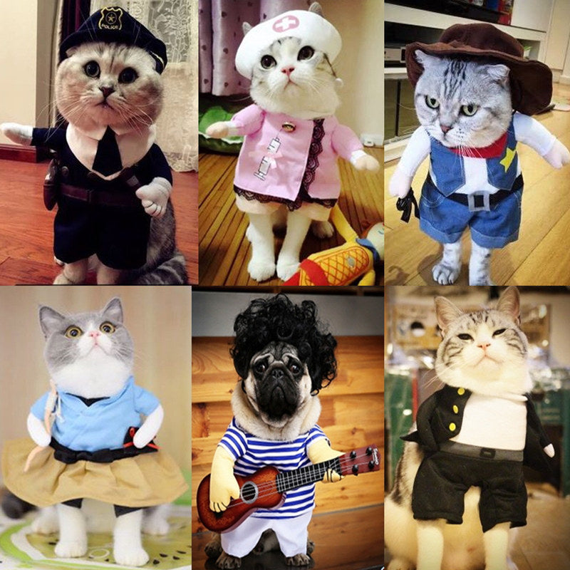 FUNNY CAT COSTUME